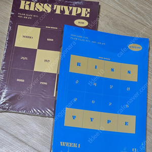 션티 키스타입 kisstype 빈칸,순서,문삽