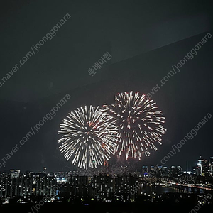 [불꽃축제 명당] 특급호텔 관람