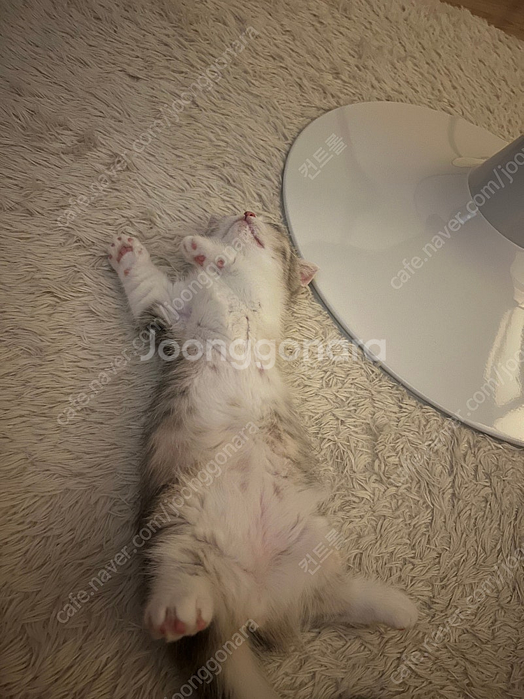 서든어택 닉네임 끊임< ㅍㅍ--0