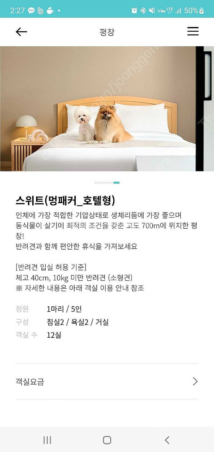(애견동반룸)10월5일(토),12일(토) 한화리조트 강...--2
