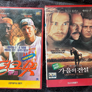 옛날 가을의 전설 브래드피트 안소니홉킨스 비디오 vhs 팝니다