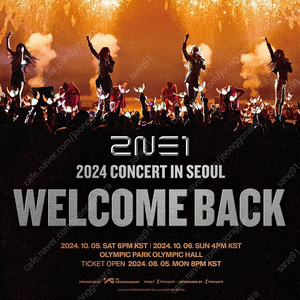 2ne1 투애니원 콘서트 토요일 당일 표 삽니다