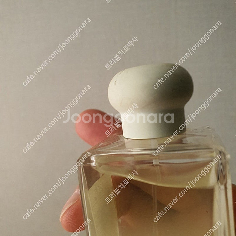 조말론 스타 매그놀리아 코롱 100ml 향수 (17)--5