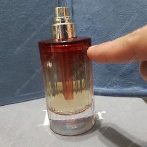 랑콤 마니피끄 EDT 50ml 향수 (14)
