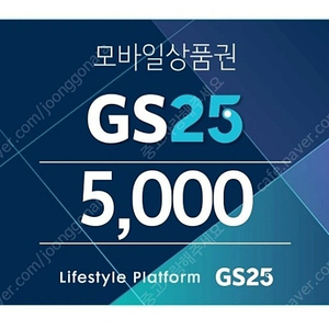 GS25 편의점 5천원권