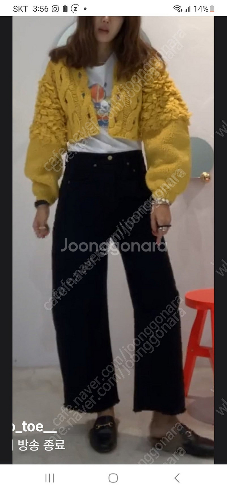 구찌 홀스빗 퍼 블로퍼 37.5. 넘버프로젝트 헤드투토--7