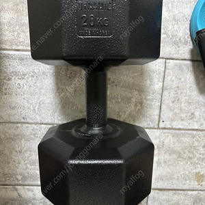 20kg 아령 1개 판매합니다