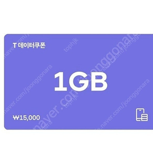 SK 데이터쿠폰 1GB