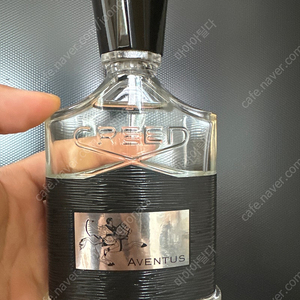 크리드 어벤투스 100ml