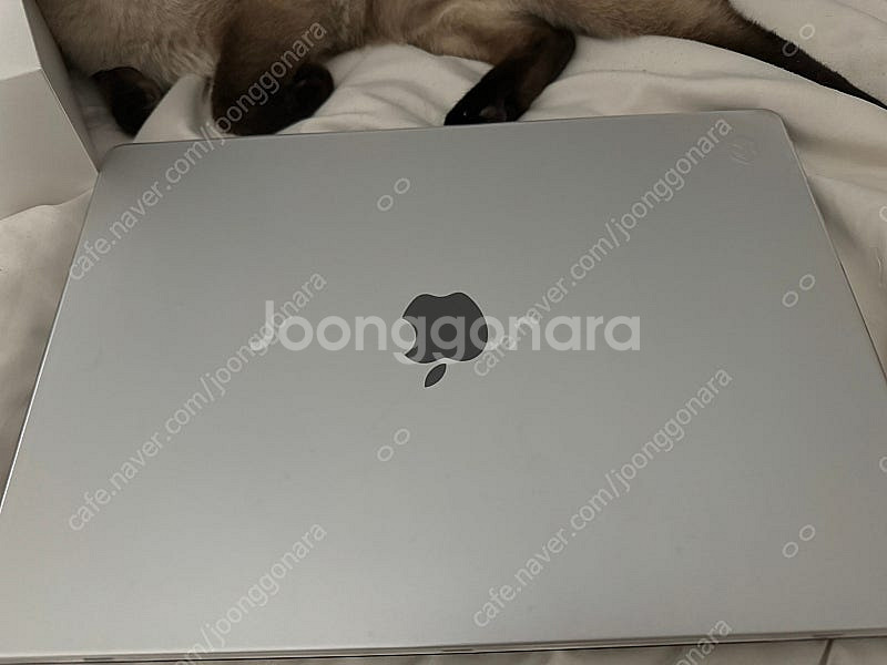 맥북 프로 16인치/M3 MAX 16코어/1TB/48G...--3