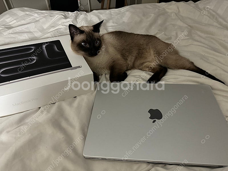 맥북 프로 16인치/M3 MAX 16코어/1TB/48G...--0