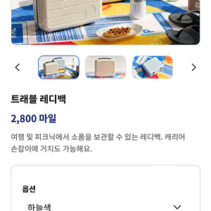 대한항공 레디백 스카이