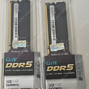 [단순개봉 미사용 상품] TeamGroup DDR5-5600 CL46 Elite 서린 (16GB) 2개