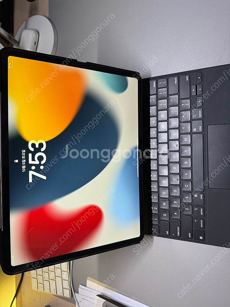 아이패드 프로4 12.9인치 256gb 셀룰러 + 매직...--0