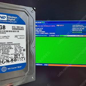 WD 500기가 HDD 2개 일괄