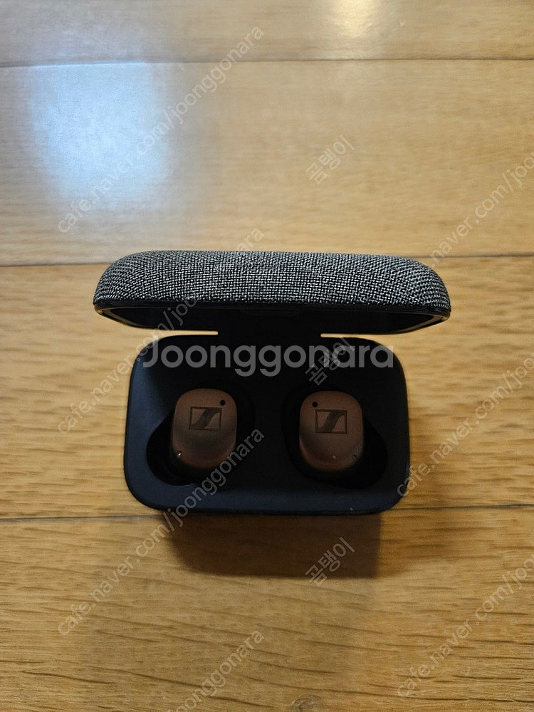 젠하이저 모멘텀4 MTW4--0
