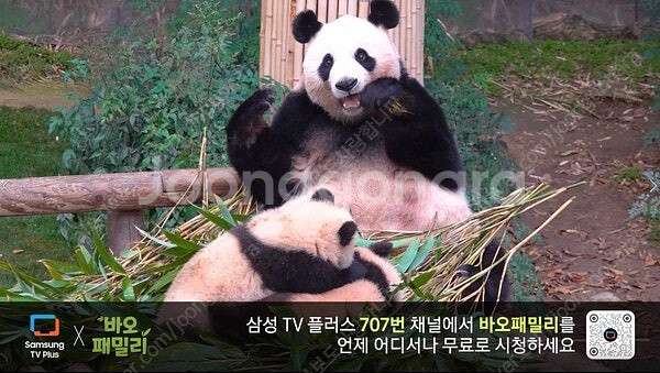 유튜브 6만 4천명 채널 팝니다--0