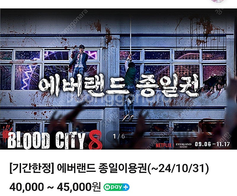 에버랜드 자유이용권--0