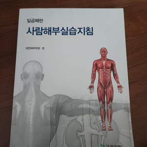 사람해부실습지침 7판, 코스탄조 생리학 3판