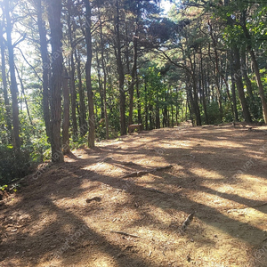 삼륜 시티 방방이 구해요