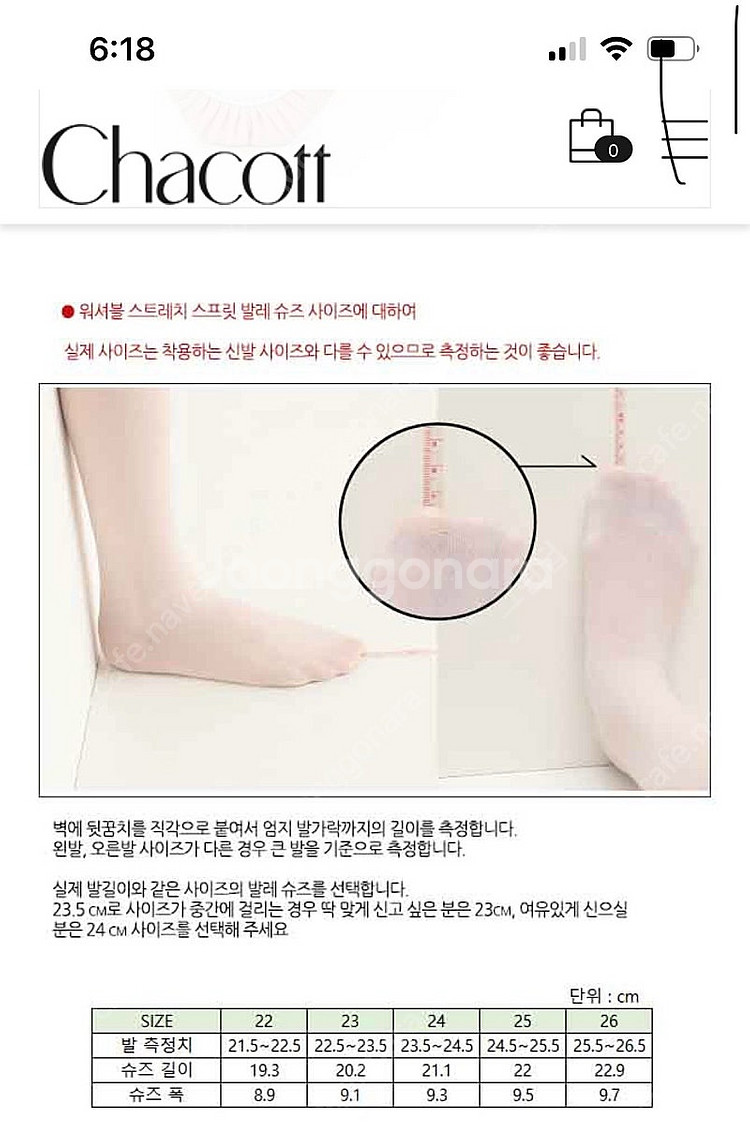 Chacott 차코트 발레슈즈--3