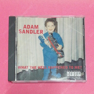 아담 샌들러(ADAM SANDLER) - What The Hell Happened To Me?