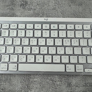 로지텍 mx keys mini for mac+매직 마우스