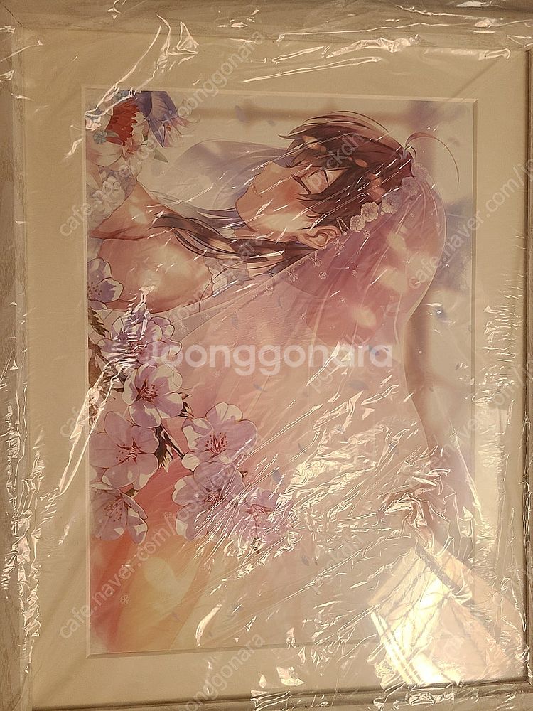 사에카노 피네 프리모 아트 팝니다 - 안심되는 중고거래