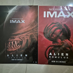 에일리언 로물로스 IMAX 포스터 2종 12매