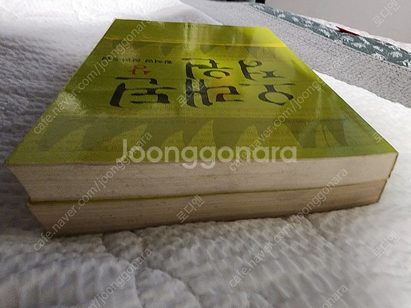 황석영 오래된 정원 창작과 비평사--3