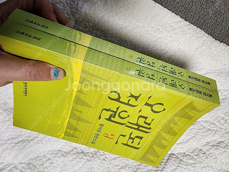 황석영 오래된 정원 창작과 비평사--4