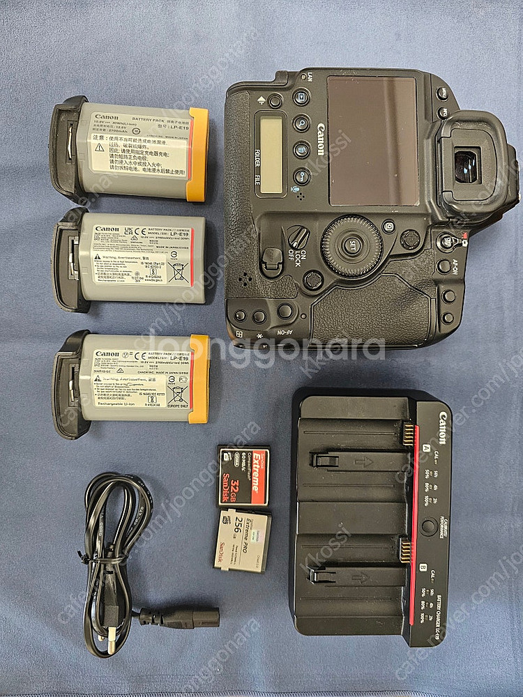 케논 1DX MARK2--4