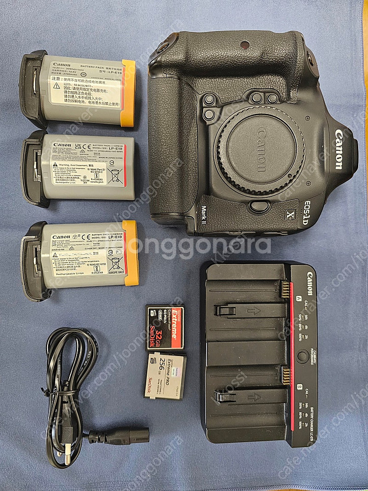 케논 1DX MARK2--5