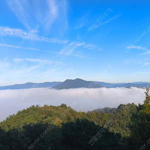 중독 매혹 매직블렛 구합니다