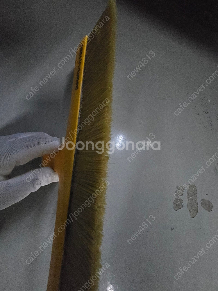정배솔 30cm--1