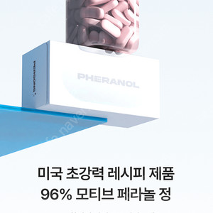 퍼슨스 페라놀 2단계