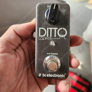 TC Electronic Ditto Looper 디토루퍼 판매 (택포)