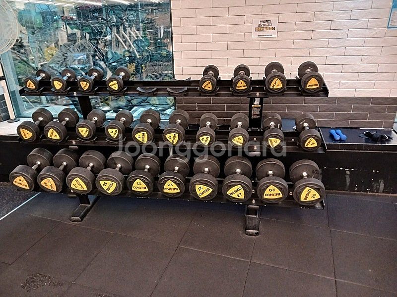 디랙스 파워랙/멀티체스트웨이트/암컬/롱풀/인너터치/티바...--6