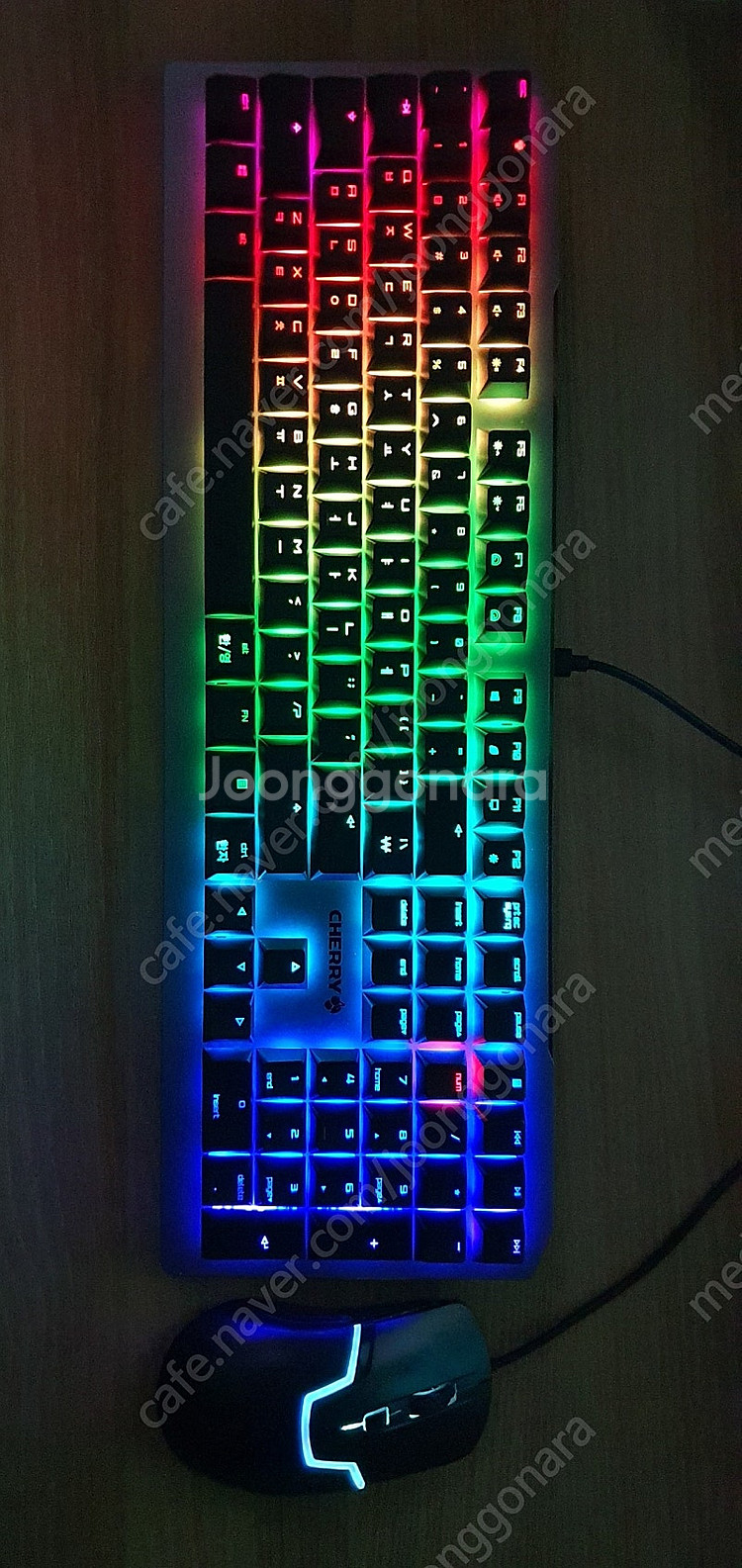 Cherry MV 3.0 RGB (체리 MV 3.0 R...--0
