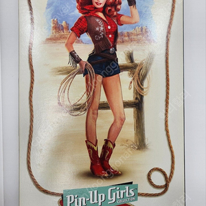 Pin-Up Girls. Barbie 바비인형