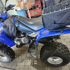 ATV 킴코250cc 사발이 상태굿