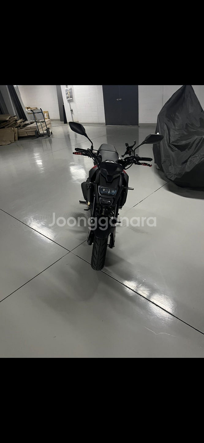 msx125 sf abs 블랙 2017--1
