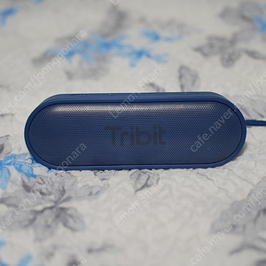 블루투스 스피커 Tribit Xsound Go 팝니다