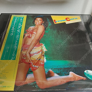 <수입 LP> 아이린 카라 Irene Cara 엘피