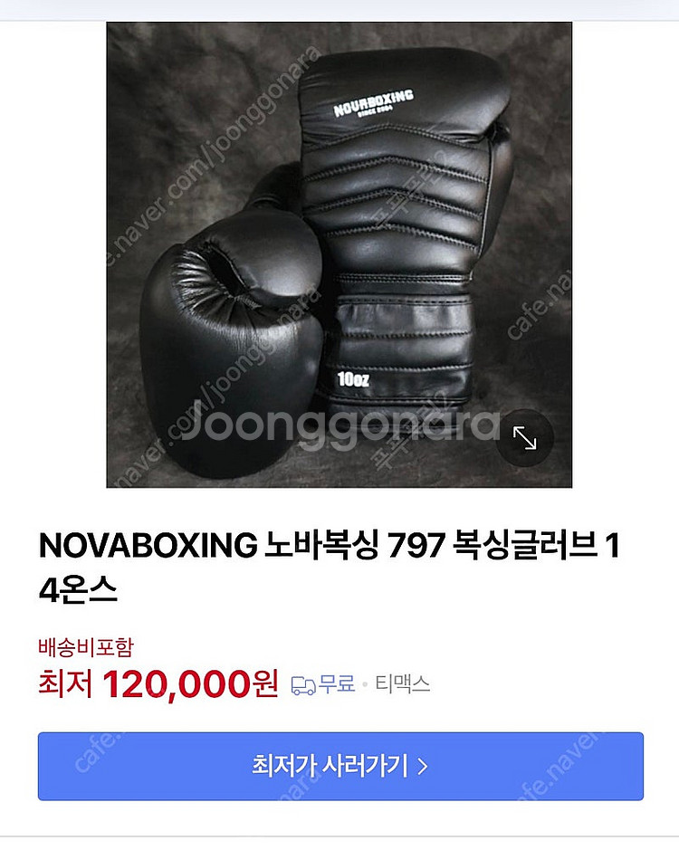 복싱 백글러브 스파링글러브 복싱화--2