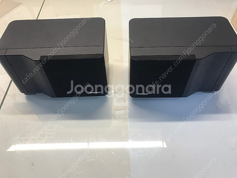 Bose 101it--2