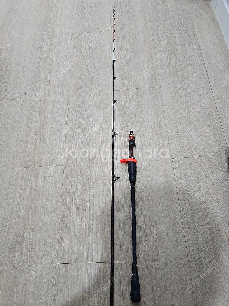 다이와 극예 24신형 쿄쿠에이 타코이카 EX AGS 165MH--1