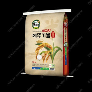 선착순)23년산 상등급 내고향 메뚜기쌀20kg 무료배송41900원 당일도정