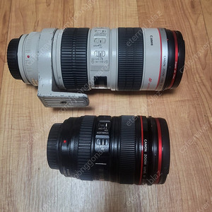 EF 70-200 F2.8 L IS(구아빠) / EF 24-105 F4 L IS