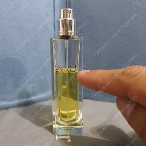 구찌 엔비 EDT 30ml 향수 (14)